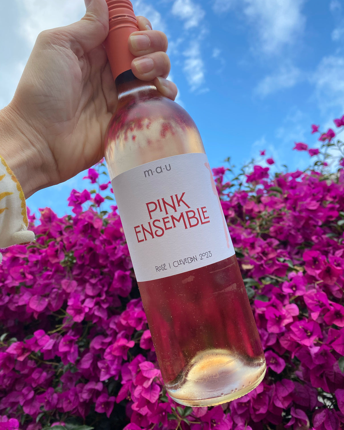 Pink Ensemble Clevedon Rosé 2023 mauwines